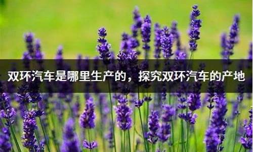 双环汽车是哪里生产的_双环汽车是哪里生产的品牌