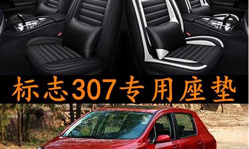 东风标致307专用座套_东风标致307专用座套安装_1