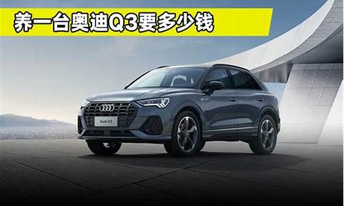 奥迪q3一年要多少钱养_奥迪q3一年要多少钱养车费用